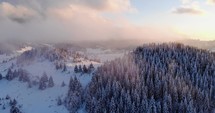 Aerial Drone Shot of Coniferous Forest On Mountainous Landscape Densely Covered With Fresh Snow During Winter At Sunset.
