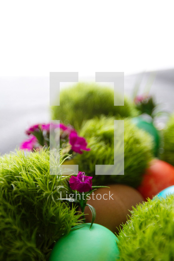 Easter eggs in moss and spring flowers 