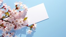 Blank note and blossoms