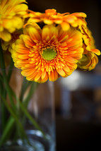 yellow flowers in a vase 