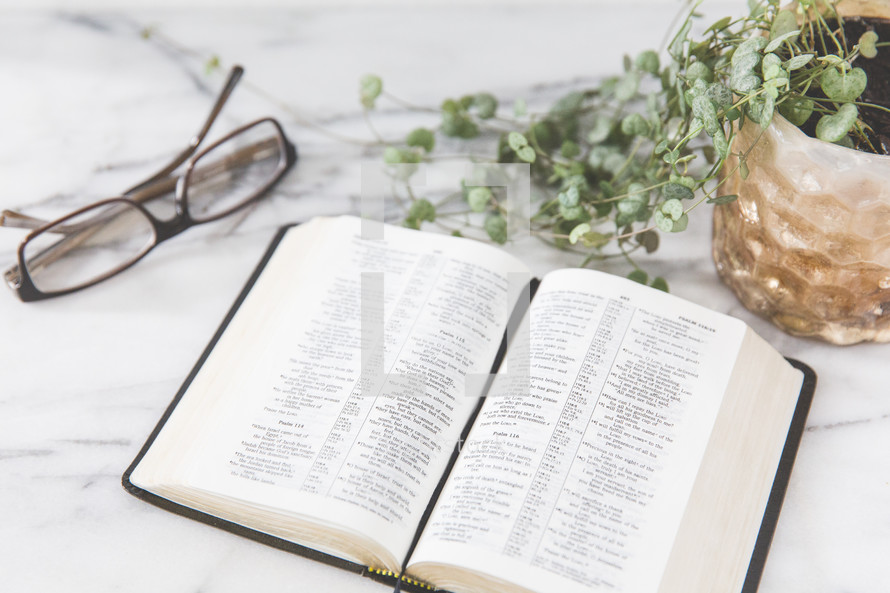an open Bible, reading glasses, and house plant on a marble countertop 