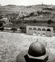 The Mount of Olives and the Dome of Chain from the Dome of Rock.