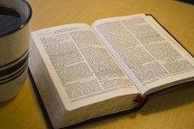 pages of an open BIble