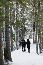 couple holding hands walking in a forest in the snow