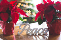 potted poinsettias and word peace Christmas decorations 