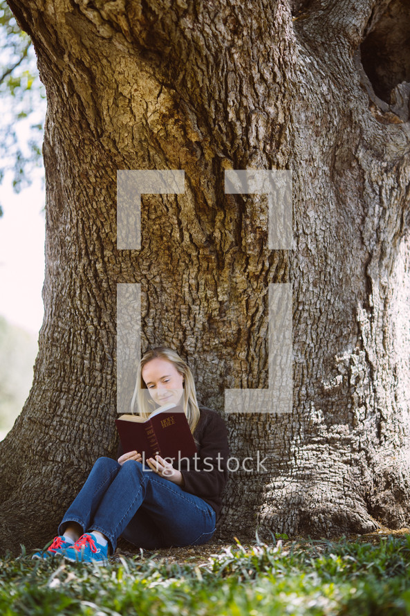 woman sitting under a tree reading a Bible