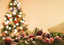 lights on a Christmas tree and garland 