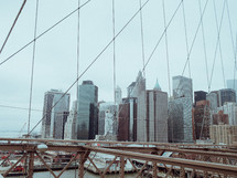 cityscape and bridge cables