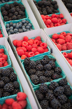 summer berries in pints 