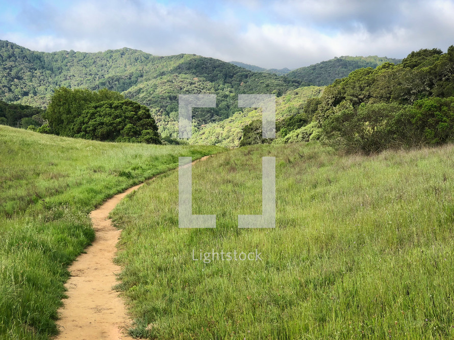 path on a green hillside 