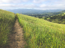 path on a grassy hillside 