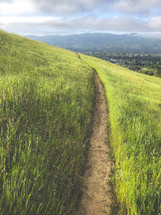 path on a green hillside 