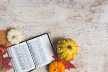 open Bible with fall items 