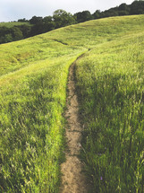 path on a grassy hillside 