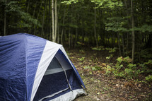 a tent in the woods 