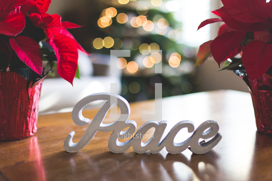 potted poinsettias and word peace Christmas display 
