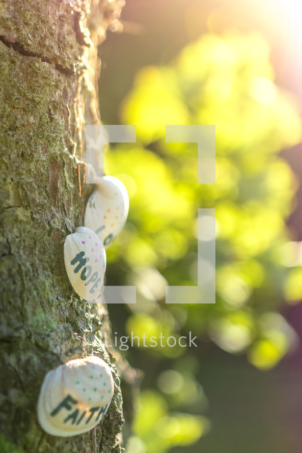 faith, hope, and love on seashells on a tree