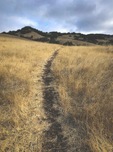 worn path 