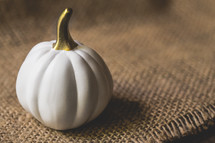 white pumpkin on burlap 