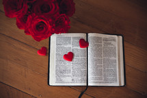 Red roses and an open Bible. 