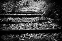 deserted railroad tracks in woods