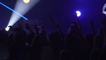 fans cheering at a concert 