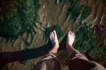 Standing on wet sand