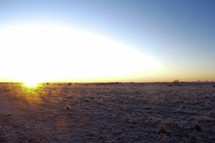 sunset and a snow covered field