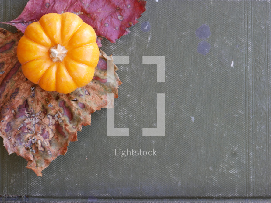  fall leaf and mini pumpkin on a leather bound book 