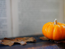 mini pumpkin and fall leaf on a book 
