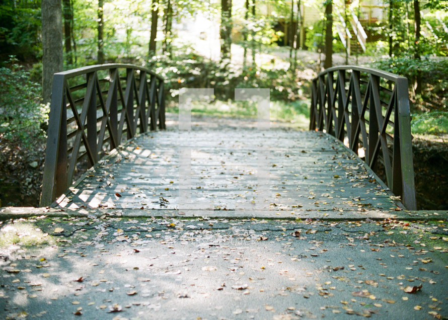 wood footbridge on a nature trail 