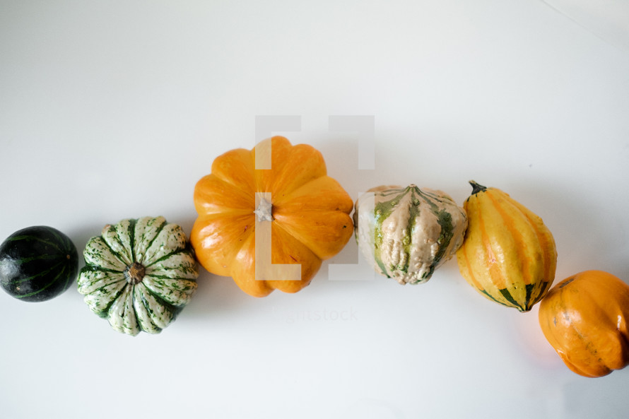 gourds on a white background 