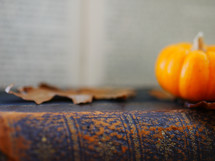 mini pumpkin and leaf on a leather bound book 