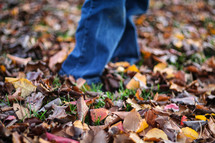 standing in fall leaves 