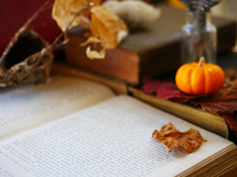 fall leaf and mini pumpkin with open book on a desk 