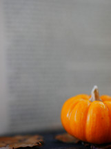 mini pumpkin, fall leaves, and book 