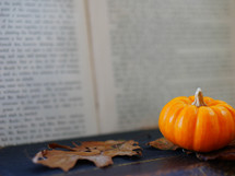  fall leaf and mini pumpkin on a leather bound book 