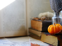 mini pumpkin, desk, feather, bottle, glass, book, fall, leaf, autumn, trinkets 