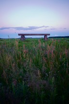 bench in a field of tall grasses 