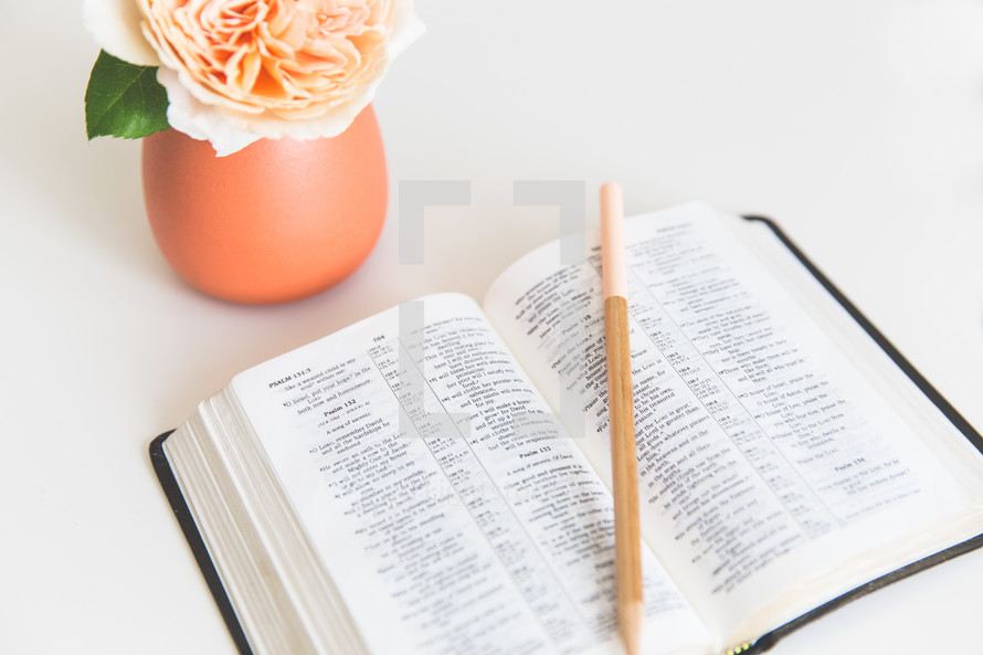peach flower in a vase and an open Bible with pencil 