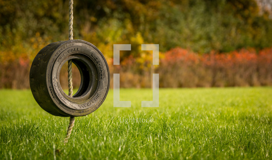 a tire swing over green grass 