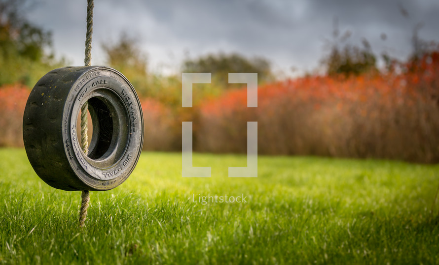 a tire swing over green grass 