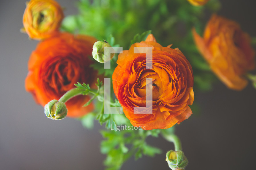 vase of orange flowers 
