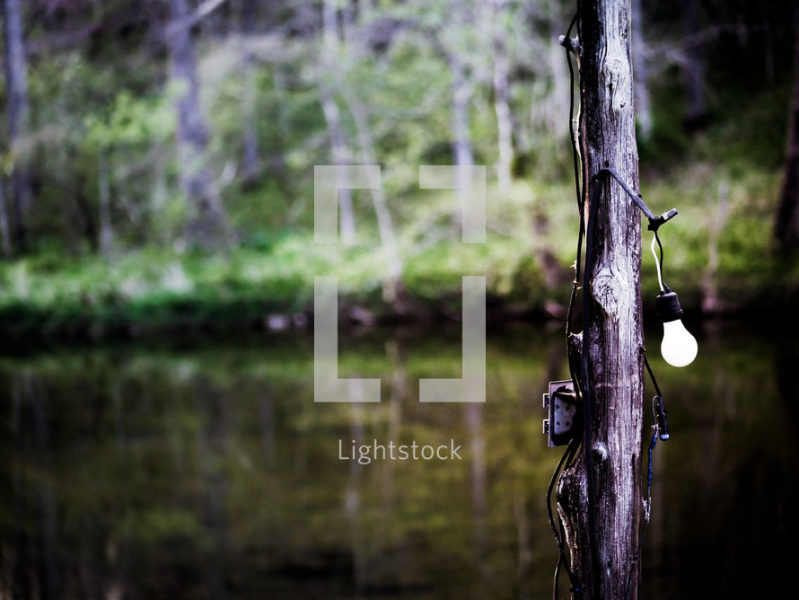 lights on a post near a pond 