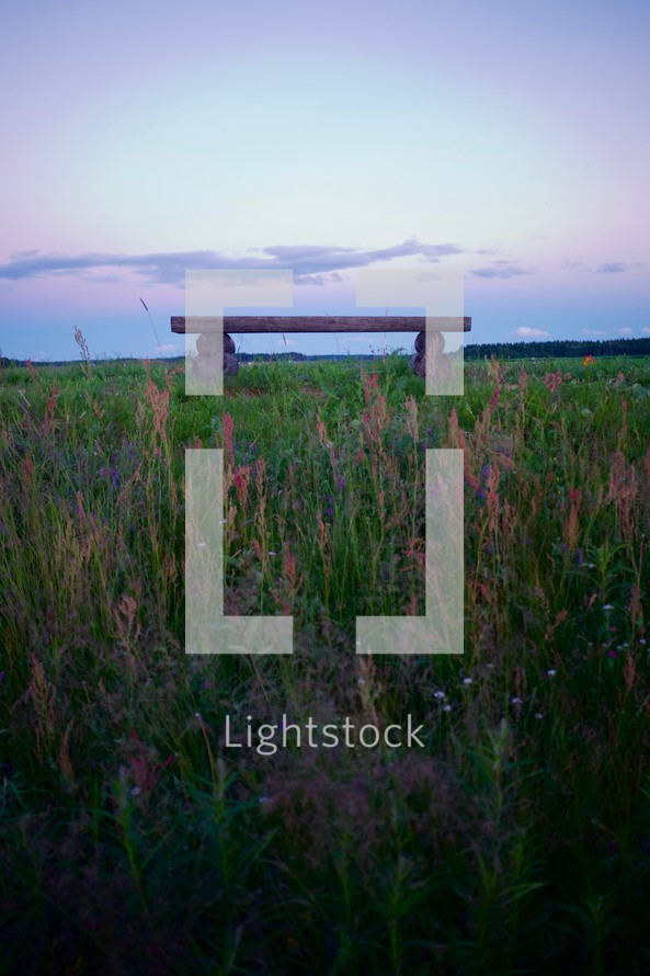 bench in a field of tall grasses 