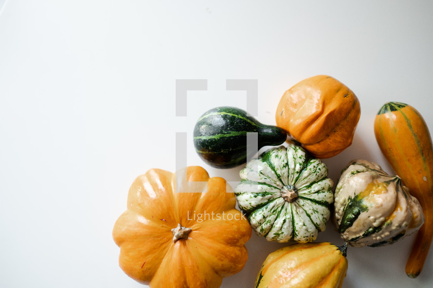 gourds on a white background 