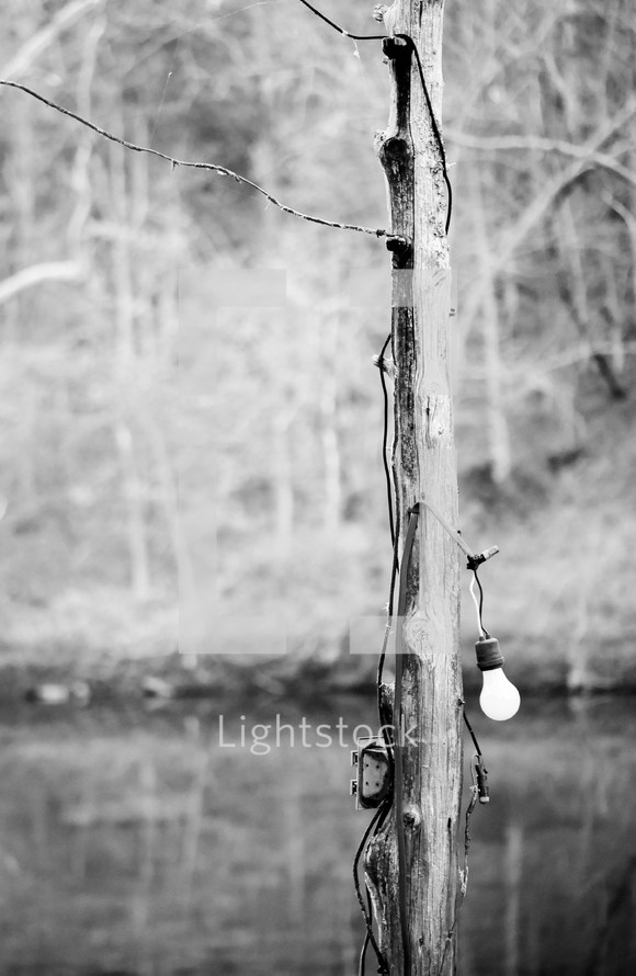 lights on a post by a pond 