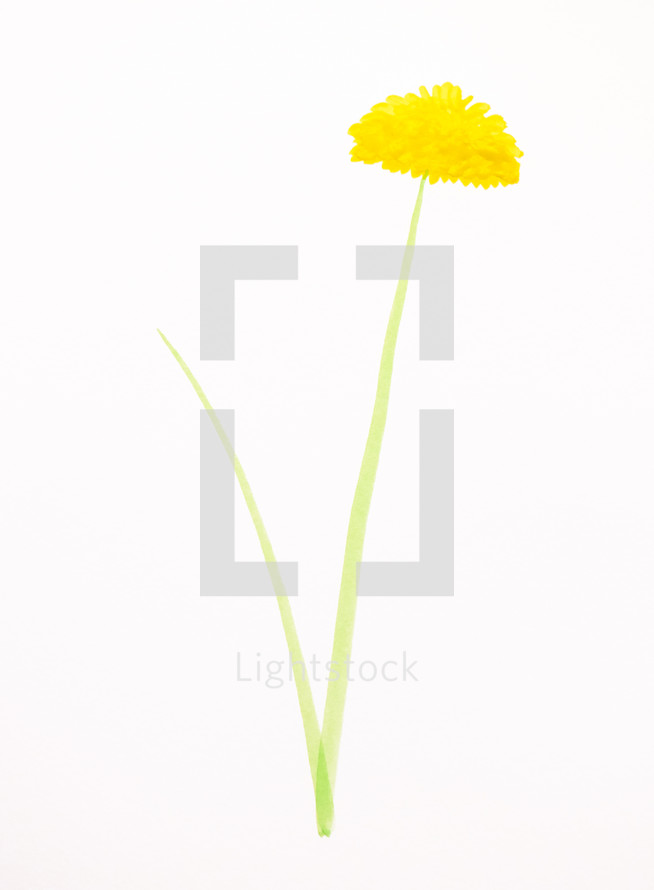 A painting of a single yellow flower.