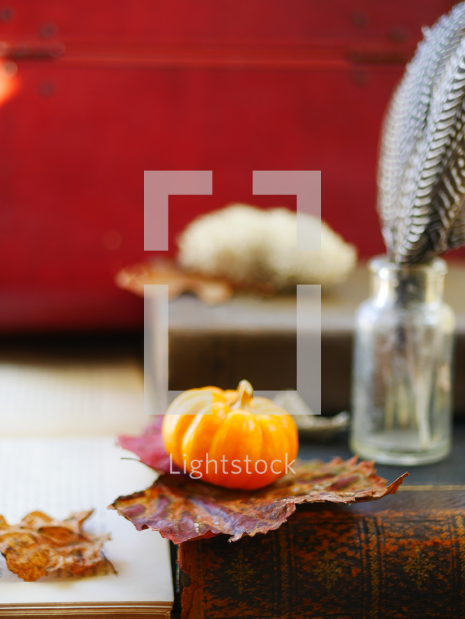 mini pumpkin, fall leaf, and feather, and book 