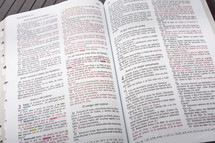 Open pages os Spanish Bible.